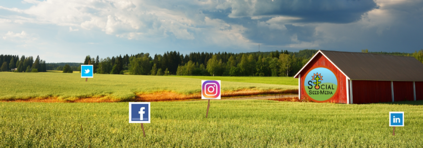 Social Media Management 